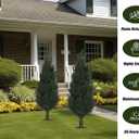 47" Artificial Cypress Topiary Cedar Topiaries for Indoors & Outdoor UV-Resistant Rated with Spike. Easy to Push in The Ground 4FT Home Garden Decor Set of 2