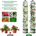 2 Pack Garden Obelisk Trellis for Climbing Plants Outdoor, 6.2 FT Tomato Cage, Rose, Flowers, Grape, Pea, Cucumber Trellis, Rustproof Plastic Coated Metal Plant Support Trellis for Potted Plants