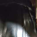 14PCS Engine Splash Shield Hardware Kit  Under Engine Cover Bolts & Clips for Skid Plate & Oil Pan Protection  Replaces 90105-TBA-A00, 90674-TY2-A01