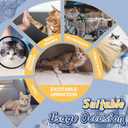 MICOOYO Disposable Cat Diapers, Cat Diapers for Female Cats with Ultra Stretchy, Puppy Diaper Super Absorbent, Fit for Cats in Heat or Incontinence, 20 Count Extra Small Size
