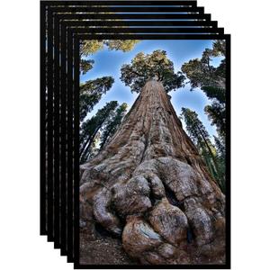 12x18 Picture Frame Black Photo Frames Display for Wall, Set of 6