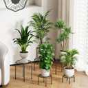 5-Pack Metal Plant Stands for Outdoor Indoor, Anti-Rust Iron Flower Pot Stand, Heavy Duty Plant Pot Shelf for Multiple Plant, Decoration Racks for Home, Patio & Garden (Black)
