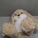 12-inch/ 30-CM Brown Bunny Plush Toy, Super Soft Rabbit Stuffed Animal with Floppy Ears  Huggable Gift for Kids