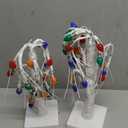 TURNMEON 2 Pack Prelit Lighted Birches Tabletop Christmas Tree with 48 Multicolor Lights, Mini Small Christmas Tree Battery Operated, Adjustable Branches, Home Xmas Indoor Table Decor 18 Inch