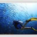 11x17 Floating Acrylic Picture Frame With Chrome Standoff Double Panel Wall Mount Photo Frame for Picture Up To inches (Inner Max Size is 11x17 inch), 1117
