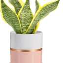 Ekirlin 6 inch Plant Pot - Ceramic Flower Planters Indoor - Modern Succulents Containers with Drain Hole Saucer, Decorate Home, Office & Outdoor (Pink)