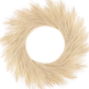Hananona Artificial Pampas Grass Wreath, 26" Faux Pampas Grass Decor for Home Boho Fall Decoration Modern Christmas Decor (Beige, 1)