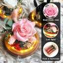 Preserved Roses & Fresh Flowers Bouquet Gift for Women, Roses that Last Forever, Flowers for Delivery Prime Birthday, Mothers Day & Christmas