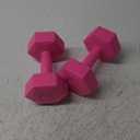 RBX Vinyl Coated Hand Weight Dumbbell Set - Hex Shaped, Roll Free for Body Building/Sculpting/Strength Training Exercise, (Set of 2) (5lb, Pink)