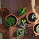 Kebinfen Bonsai Tree Pruning Trimming Starter Tool Kit - Pruning Scissors, Bonsai Scissors for Bud & Leaves Trimmer, Bamboo Rake - Set of 3