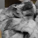 EVERGRACE Luxurious Soft Faux Rabbit Fur Throw Blanket, Cozy Fuzzy Plush Warm Throws for Couch Bed Sofa Chair Home Decor, Ruched Bubble Fluffy Blanket with Reversible Velvet, 60" x 80", Gray, Twin