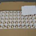 50Pack 1oz Amber Glass Dropper Bottles with Gold Lids, Funnels, Droppers, Extra Caps & Labels  Leakproof, UV Resistant 30ml Empty Bottle for Tinctures, Essential Oils, Beard, Hair Oils