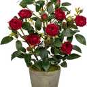 Hollyone Artificial Flower Plants Camellia Red Roses Faux Potted Plant with Cement Pot Fake Silk Flower Rose Camellias Flower Arrangement Office Home Decor Bathroom Shelf Desk Decoration 15 Inch