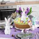 Bucherry 17 Pcs Cute Bunny Table Centerpiece Spring Tray Decorations Include Resin Bunny Decor 15 Pastel Faux Eggs and Raffia Grass Resin Rabbit Statue Table Centerpiece for Tables Spring Home Decor
