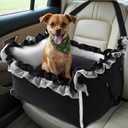 Homcosan Dog Car Seat for Small Medium Dogs, Dog Booster Seat for Car with Clip-On Safety Leash, Elevated Pet Car Seat with Soft Cushion, Washable Travel Safety Car Seat for Dog up to 30 lbs (Black)