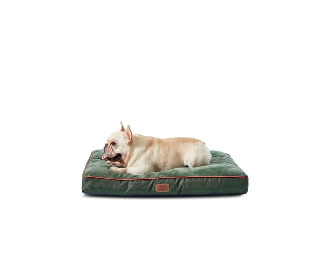 Bedsure Washable Dog Bed Medium Size Dog - 3 Inch Thicken Up to 45lbs Pet Mat Pillows with Removable Washable Cover, Green