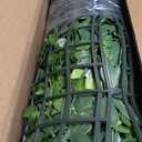 ODTORY Artificial Plant Wall Roll: 40X120 in (33.5 sqft) UV-Anti Ivy Privacy Fence Screen Faux Greenery Panels Backdrop Boxwood Ivy Vine Leaf Hedge Fence for Indoor Outdoor Green Decor