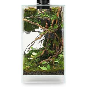 Desktop Glass Plant Terrarium with Grow Light(L7.8 W7.8 H14), for Succulent, Moss, Miniature Gardening Landscape, Betta Fish Tank, Indoor Plant Growth, Office Home Decoration (TimeControlled)