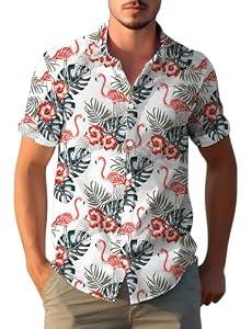 Yoimira Floral Hawaiian Shirt for Men Vintage Vacation Button Down Short Sleeve Mens Beach Shirts for Casual (XXL)