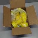 6 Pack Metallic Foil Spray Centerpiece Star,Gold Table Centerpieces for Party Birthday Wedding Anniversary Graduation Holiday Supplies Decor