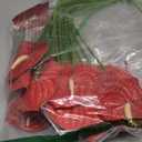 Hanaive 20 Pcs Artificial Anthurium Flowers 23.6 Inch Fake Anthurium Flowers for DIY Vase Bouquets Centerpiece Arrangements Wedding Bridal Shower Party Home Decor(Red)