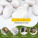 Pulovin 40 lbs White Rocks for Landscaping, 2-3 Inch Large White Rocks for Plants, Decorative Polished Stones for Garden, Walkways, Yard, Plants Pots, Vases, Crafts