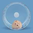 BUCATSTATE Hamster Wheel Silent, 5.5in Exercise Running Whees Quiet Spinner Mouse Wheels for Gerbil Dwarf Syrian Hamster Rat Mice