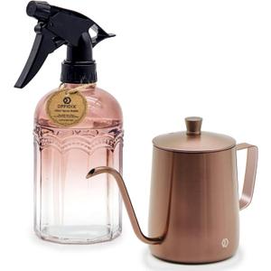 OFFIDIX Watering Can for Indoor Plants Long Spout Metal Stainless Steel 21 oz Small Watering Can with 14 oz Glass Plant Mister Spray Bottle for Plants Bonsai