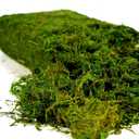 USMOLA Artificial Moss 16oz Fake Moss for Crafts, Fairy Gardens, Wedding & Party Decor, Centerpieces & Potted Plants (Fresh Green, 455g)
