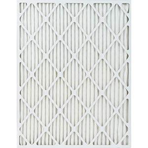 True Blue Allergen 12x25x1 Air Filter