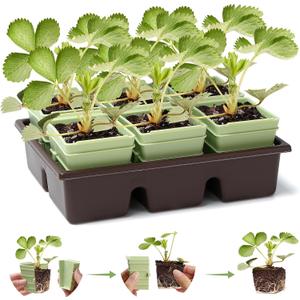 Side-Open Seed Starter Tray 4-Pack, 24 Cells Modular Design with Detachable Plant Cells, Extra-Large 2.36"x2.28" Cells, Reusable Seed Germination Kit for Indoor & Outdoor Gardening