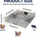 Squirrel Trap Live Rodent Cage for Humane Catch and Release, Holds up to 25 Squirrels