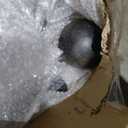 Red Carpet Studios Garden Stake Yard Art Metal and Glass Balance Rocker with 6-Prong Stake, Jumbo 6.16 Feet Tall, Flying Eagle