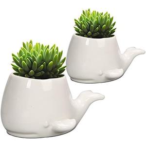 GeLive Set of 2 Whale White Ceramic Succulent Planter Air Plant Pot Window Box Decorative Container, 4 Inch, Indoor Outdoor Usage