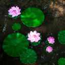 Fake Lily Pads, 10 PCS Artificial Lotus with Water Lily Pad, Realistic Water Floating Foam Lotuses Pads, Pink Artificial Floating Lotus Decor with Pad for Home Outdoor Ponds