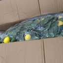 5ft Tall Artificial Lemon Tree with Fake Lemons Floor Plants Artificial for Decor Realistic to Indoor Home Office Fauxe Lemon Tree, Yellow