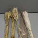 180PCS Dried Wheat Bundle with Pampas Grass & Bunny Tails – Natural Dried Flower Bouquet for Vase, Fall Centerpieces, Wheat Straw & Wheat Grass Decor for Rustic, Boho, Floral & Nature Room Decor