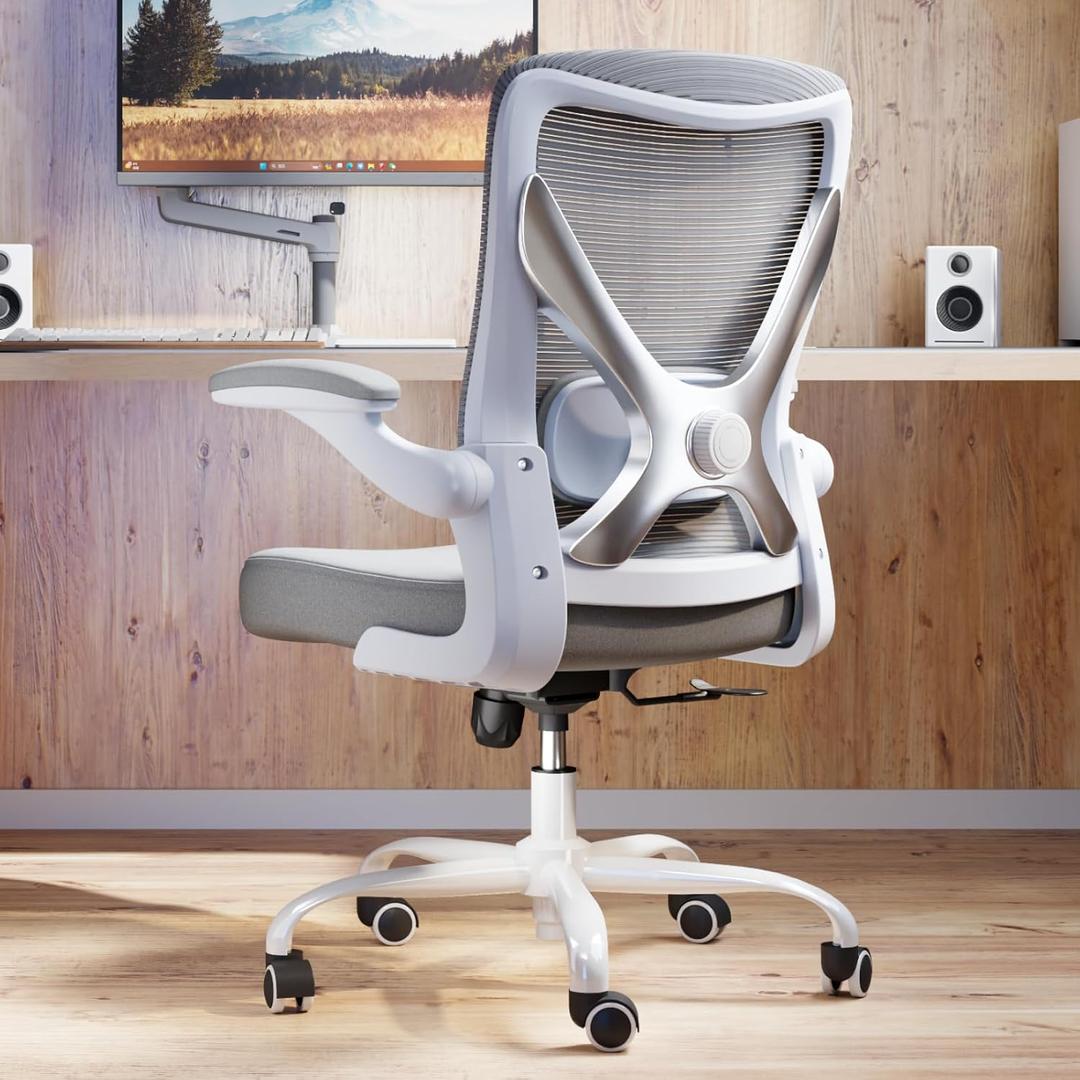 Ergonomic Office Chair with Lumbar Support - Adjustable Computer Desk Chairs for Home Office, Gaming, and Work - Comfortable and Supportive Desk Chairs for Adults(Grey Silver)