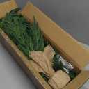 Lyrow Artificial Norfolk Pine Tree 24 Inch Tabletop Christmas Tree Small Light Up Norfolk Pine with 30 Beads for Holiday Party Indoor Outdoor Home Table Fireplace, Entryway Decorations((2 Pcs)