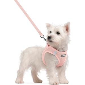 rabbitgoo Dog Harness Small Sized and Leash Set, Step in Soft Light Puppy Vest, Breathable Mesh Pet Harness, Reflective for Safe Outdoor Walking, Pink S (S (Chest: 15.1 - 16.5"))