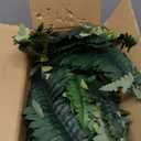 34" Fake Ferns, Set of 2 Artificial Ferns for Outdoors Large, Artificial Boston Ferns with 42 Fronds for Garden Porch Home Spring Decor
