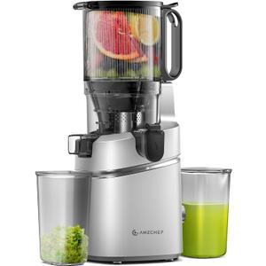 Juicer Machines, AMZCHEF 5.3-Inch Self-Feeding Masticating Juicer Fit Whole Fruits & Vegetables, Cold Press Electric Juicer Machines with High Juice Yield, Easy Cleaning, BPA Free, 250W-Silver (Silver)