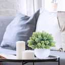 Winlyn Set of 3 Assorted Artificial Succulent Plants in White Concrete Pots Faux Aloe Hops String of Pearls Potted Plants Small Fake Plants for Home Garden Office Desk Counter Shelf Windowsill Decor