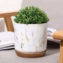 Marble Succulent Plant Pots Marbling Art Minimalist Ins Style Ceramic Pot Cactus Planters Flower Pots with Drainage Hole for Home Office Desk Decoration Beautiful Scenery-L