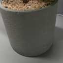 Fake Plants Artificial Tropical Plants Indoor in White Pot for Home Office Desk Accessories Bathroom Sage Green Decor