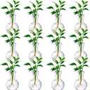 12Pcs Window Propagation Stations Bulb Glass Vases with Suckion Cups Hooks Hydroponics Plant Propagation Vases No Nails Wall Hanging Planter for Water Plant Propagation Rooting Cuttings