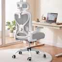 Ergonomic Office Chair for Back & Neck Pain Relief, Virgin Foam Seat, 2D Adjustable Lumbar & 3D Headrest, Tilt & Rock for Relaxation, Ideal for Long Sitting Comfort, Gray/Silver, 10 Inches X 20 Inches X 25 Inches