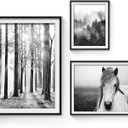 Forest Sunrise Pictures Framed Prints - Peaceful Landscape Scene and Elegant White Horse Wall Art Sets for Living Room, Bedroom, Office, Bathroom 3 Panels
