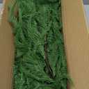 9FT Christmas Garlands Norfolk Pine Garland Real Touch Artificial Faux Greenery Garland for Holiday Indoor Outdoor Decor (9 ft (1 Pack- Young ))