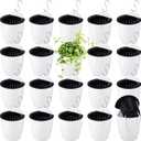Yungyan 20 Sets 5" Self Watering Hanging Planter White Lazy Flower Pots Plastic Wall Propagation Window Wall Mount Planter with Hooks and Absorbent Cotton Ropes for Indoor Succulent Plants